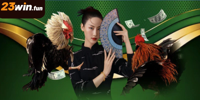 Chơi đá gà online 23WIN không lo lộ danh tính