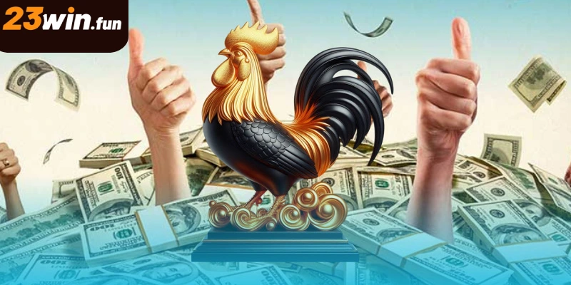 Sảnh cược đá gà 23WIN không khí sôi động như tại trường gà thực